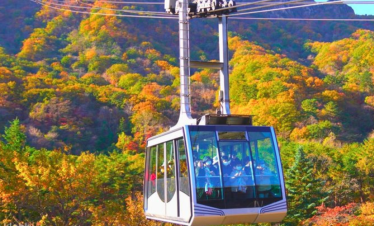 4D3N AMAZING KOREA GOLDEN EXPERIENCE JOURNEY