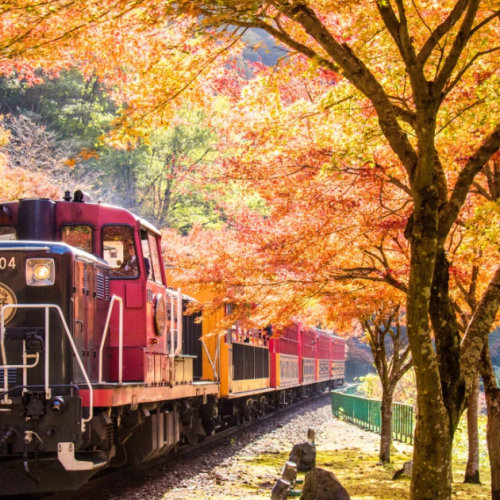 7D5N JAPAN AUTUMN GOLDEN ROUTE ESCAPE