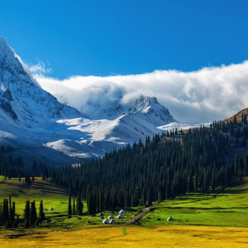 9D7N XINJIANG WONDERLAND (XIW-200)